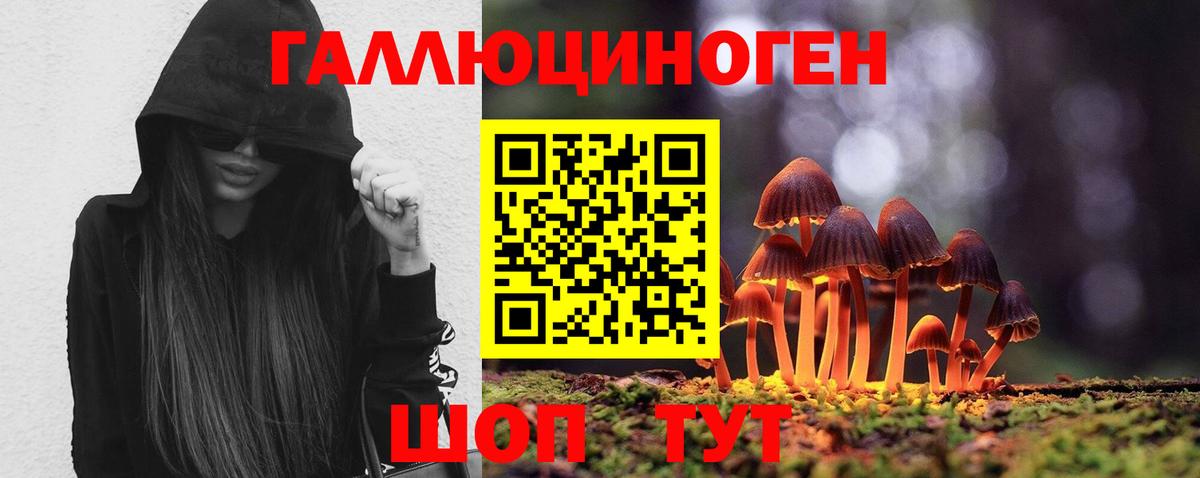 Галлюциногенные грибы Psilocybine cubensis Вятские Поляны